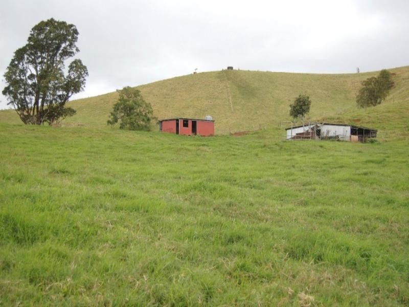 Millaa Millaa QLD 4886