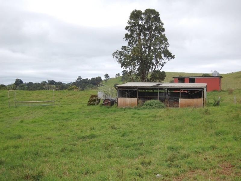 Millaa Millaa QLD 4886