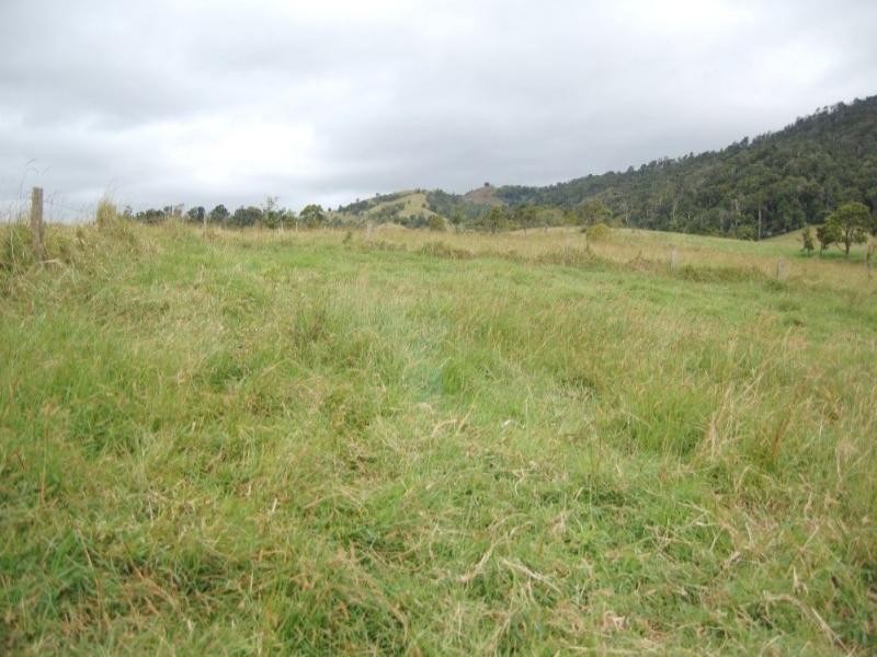 Millaa Millaa QLD 4886