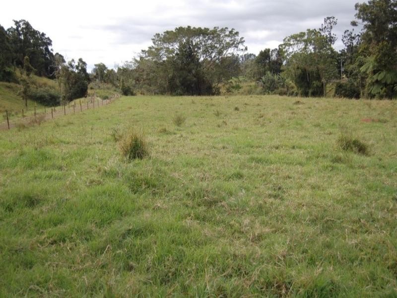 Millaa Millaa QLD 4886