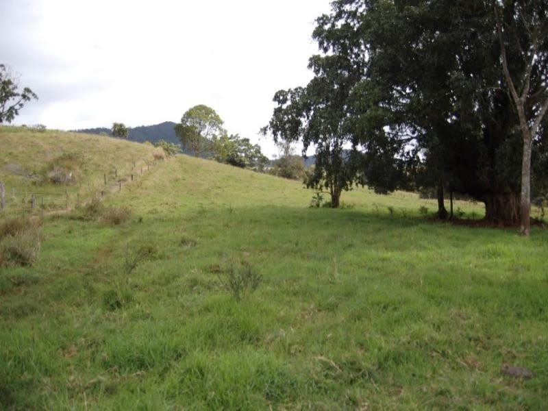 Millaa Millaa QLD 4886