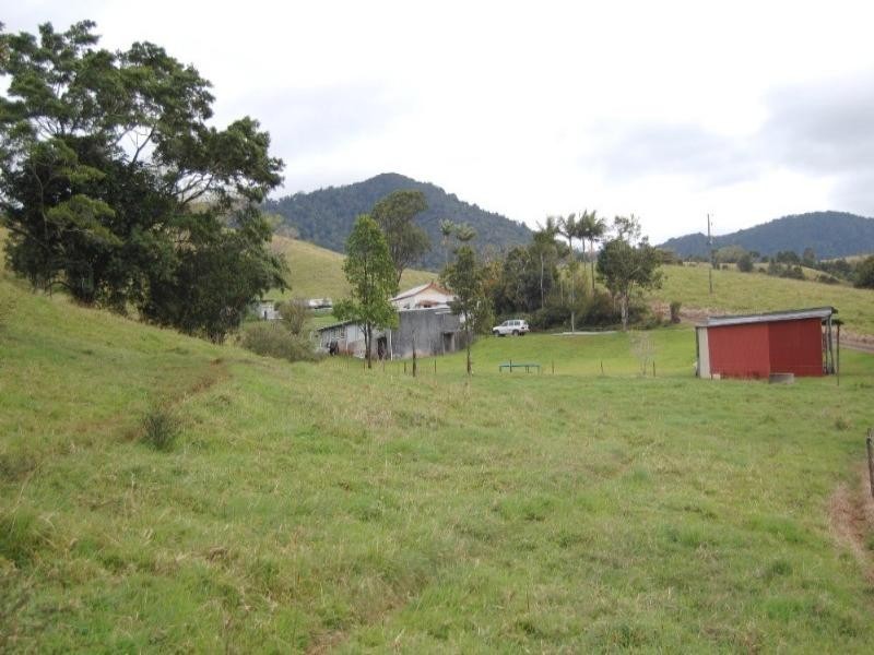 Millaa Millaa QLD 4886