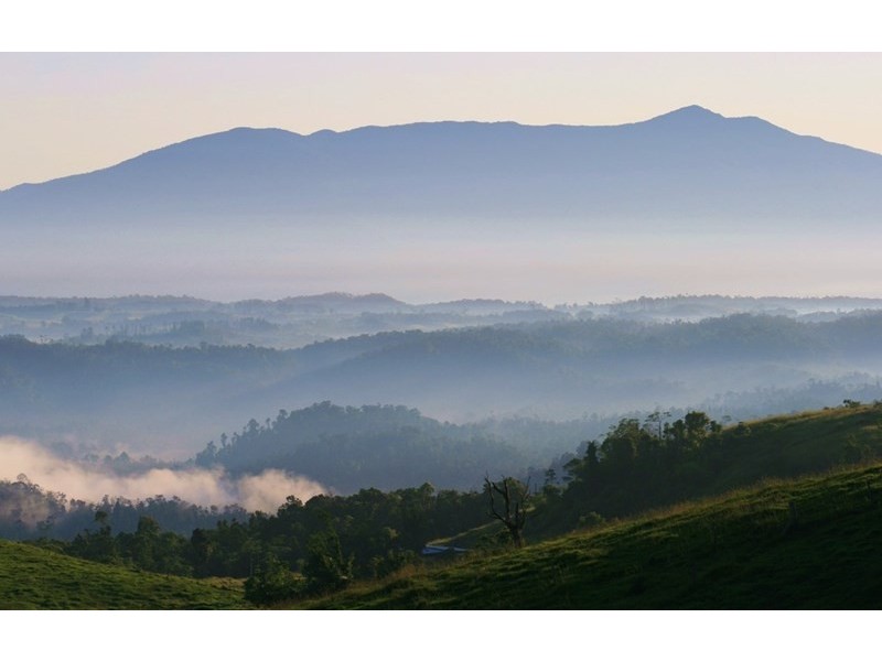 Millaa Millaa QLD 4886