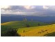 Millaa Millaa QLD 4886