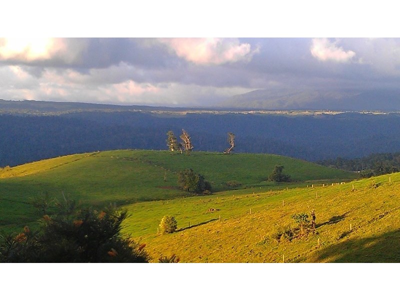 Millaa Millaa QLD 4886