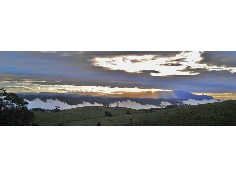 Millaa Millaa QLD 4886