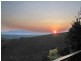 Millaa Millaa QLD 4886