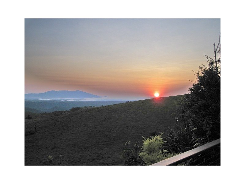 Millaa Millaa QLD 4886