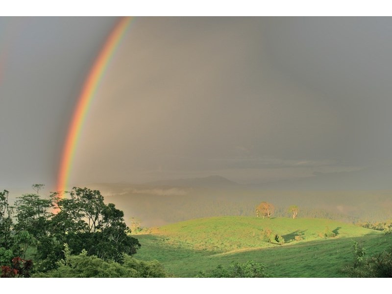 Millaa Millaa QLD 4886