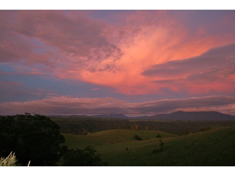 Millaa Millaa QLD 4886