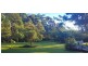 Millaa Millaa QLD 4886