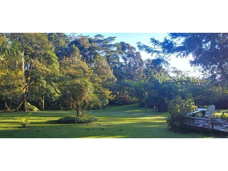 Millaa Millaa QLD 4886