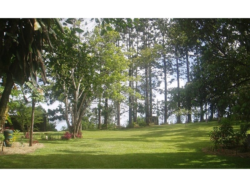 Millaa Millaa QLD 4886