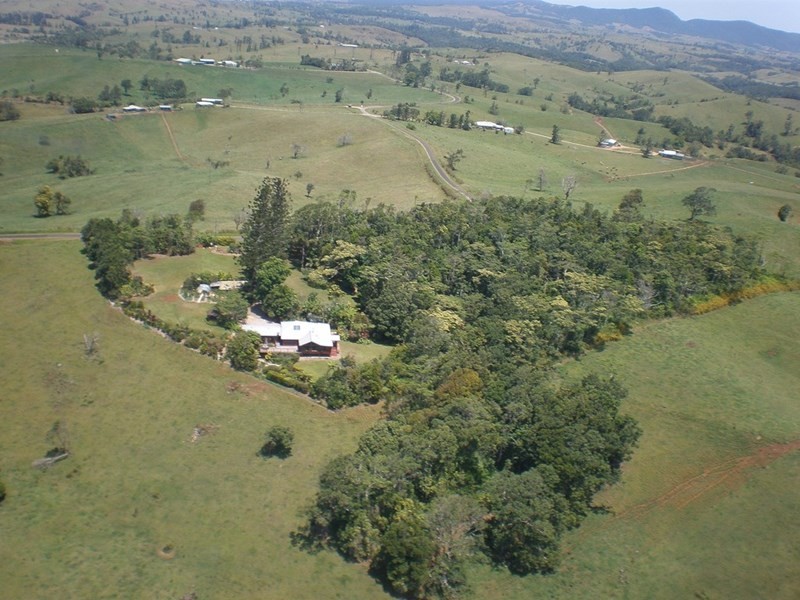 Millaa Millaa QLD 4886