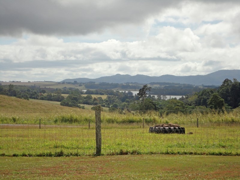 Yungaburra QLD 4884