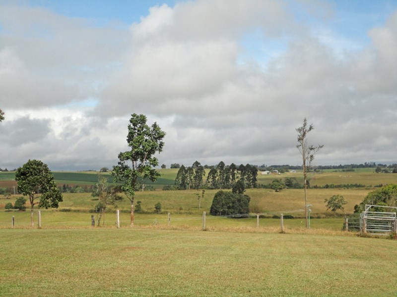 Yungaburra QLD 4884