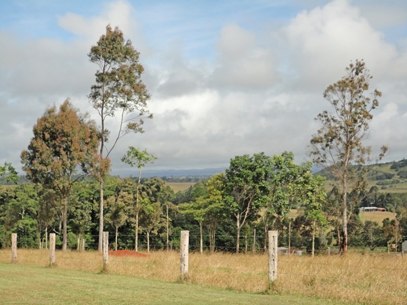 Yungaburra QLD 4884