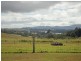 Yungaburra QLD 4884