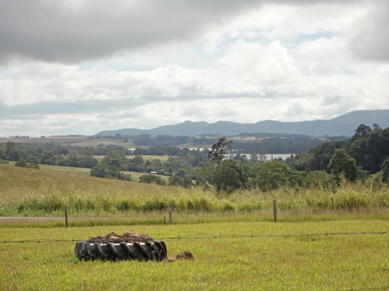 Yungaburra QLD 4884