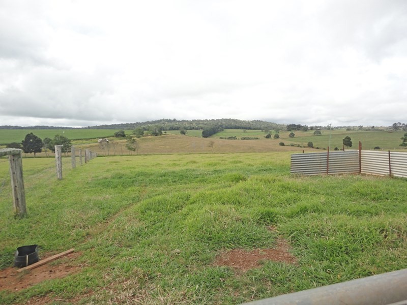 Yungaburra QLD 4884