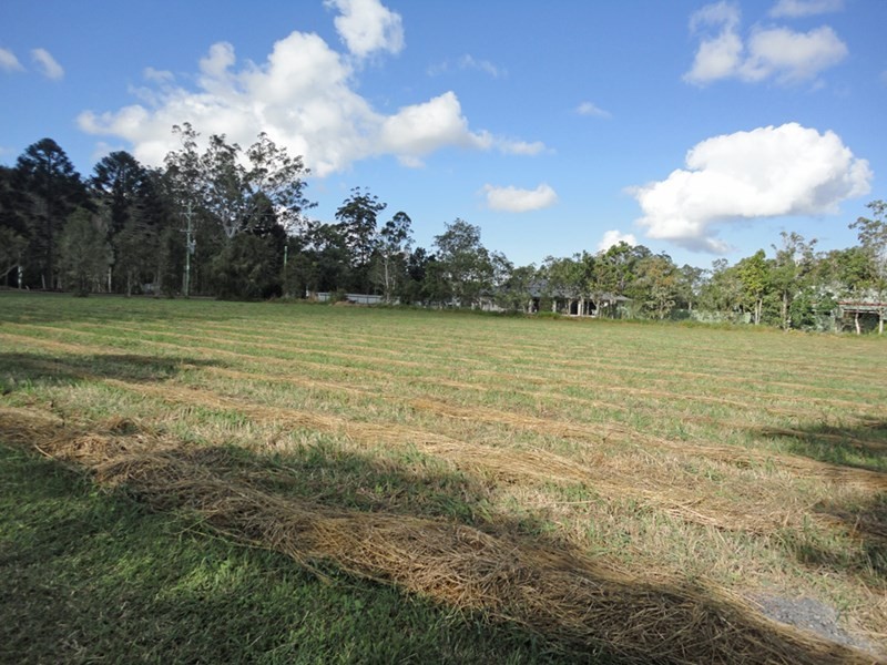 Lot 14, 0 Carrington Road, Carrington QLD 4883
