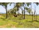 Lakeland QLD 4871