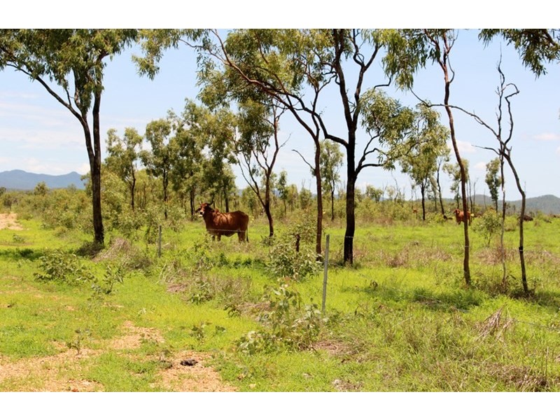Lakeland QLD 4871