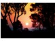 Lakeland QLD 4871