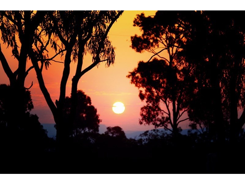 Lakeland QLD 4871