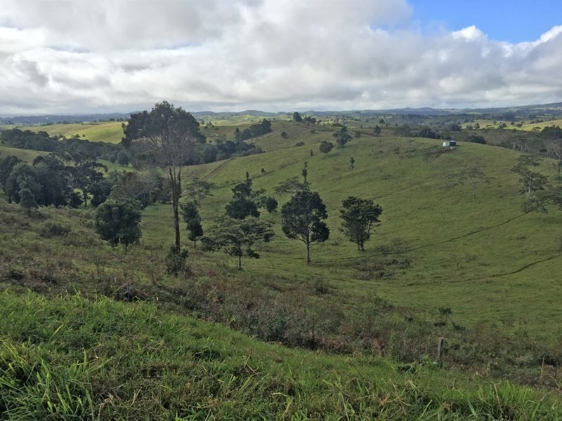 Jaggan QLD 4885