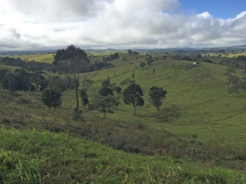 Jaggan QLD 4885