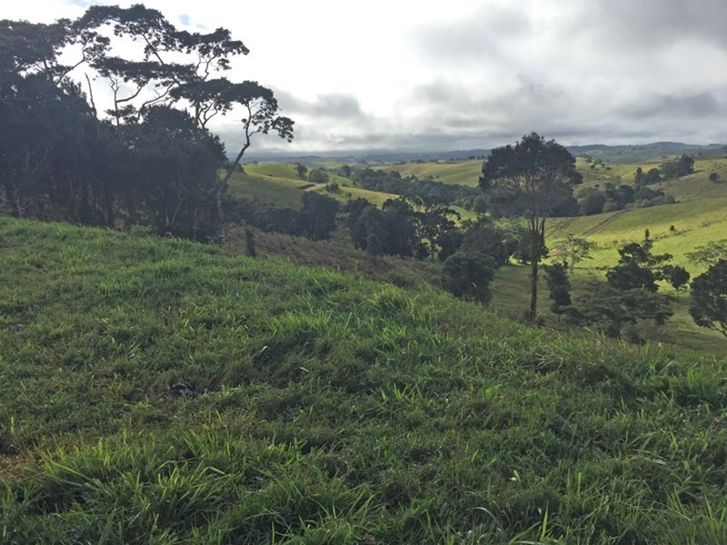 Jaggan QLD 4885
