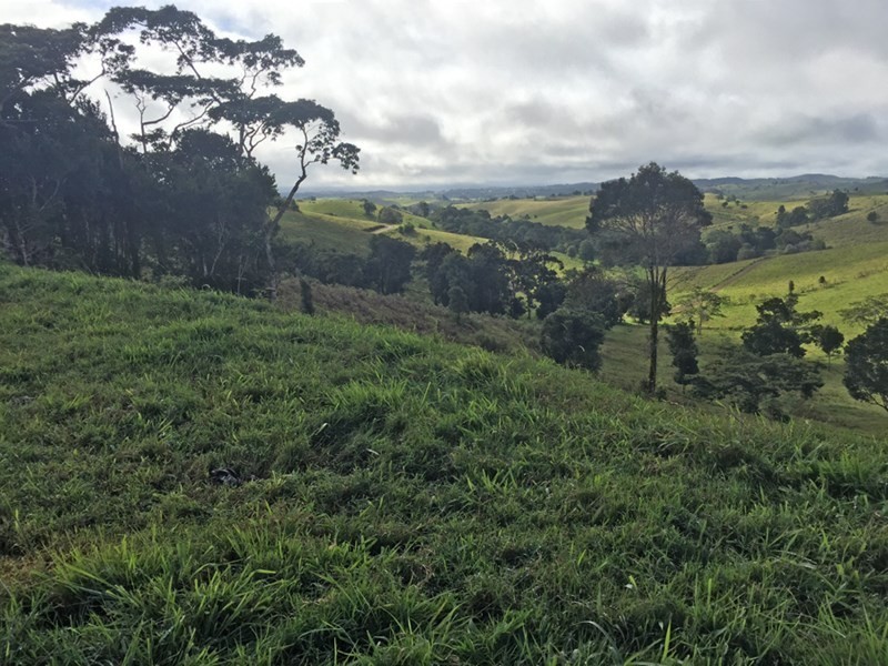 Jaggan QLD 4885