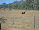 Wondecla QLD 4887