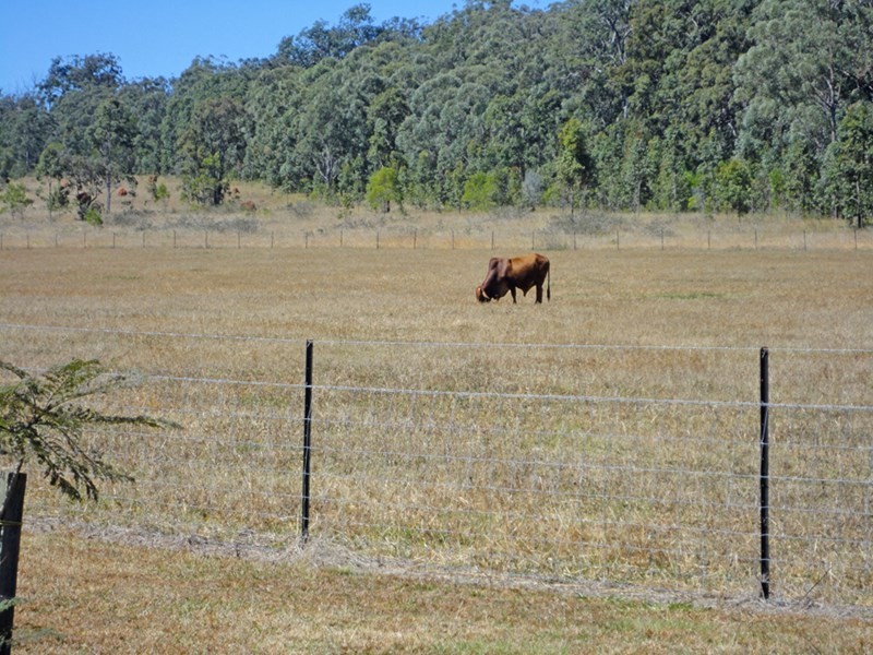 Wondecla QLD 4887