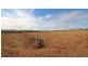 Chewko QLD 4880