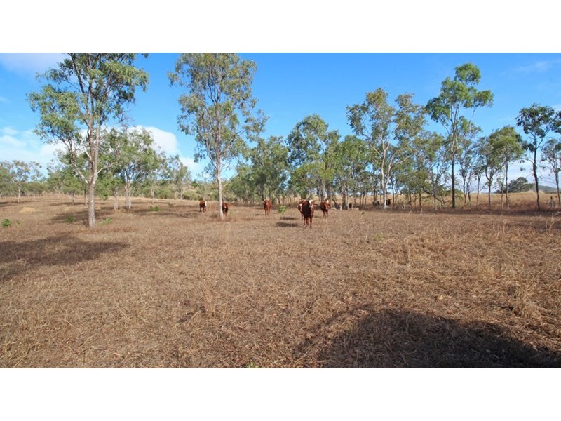 Chewko QLD 4880