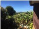 Yungaburra QLD 4884