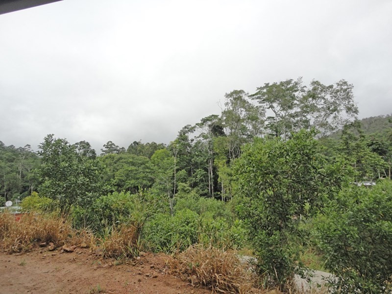 Lot 2 Garland Close, Carrington QLD 4883