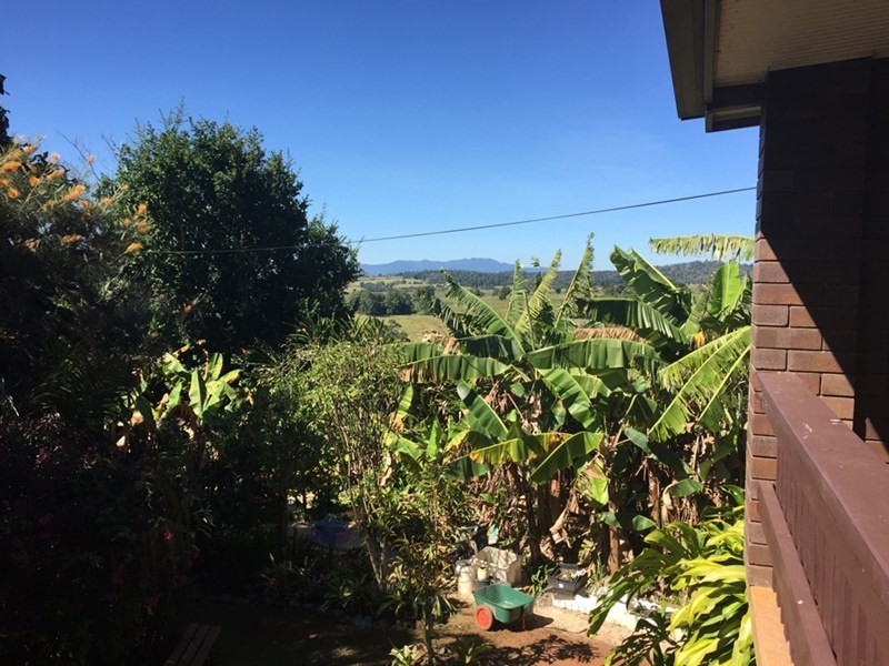 Yungaburra QLD 4884