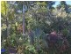 Yungaburra QLD 4884