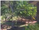 Yungaburra QLD 4884