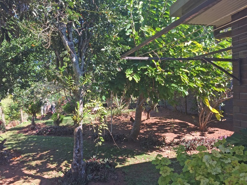 Yungaburra QLD 4884
