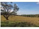 Evelyn QLD 4888