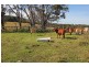 Evelyn QLD 4888