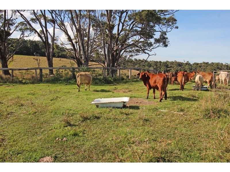 Evelyn QLD 4888