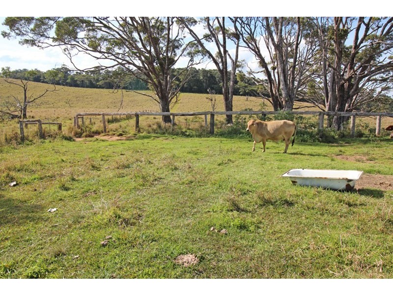 Evelyn QLD 4888