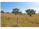 Evelyn QLD 4888