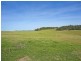 Tarzali QLD 4885