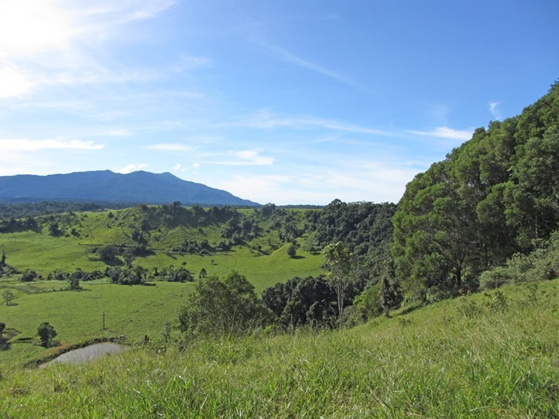 Butchers Creek QLD 4885